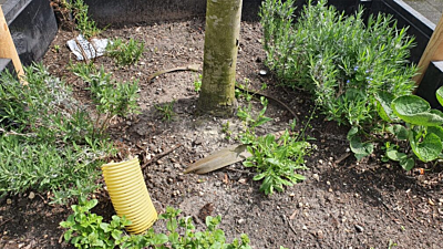 Drainage voor bomen