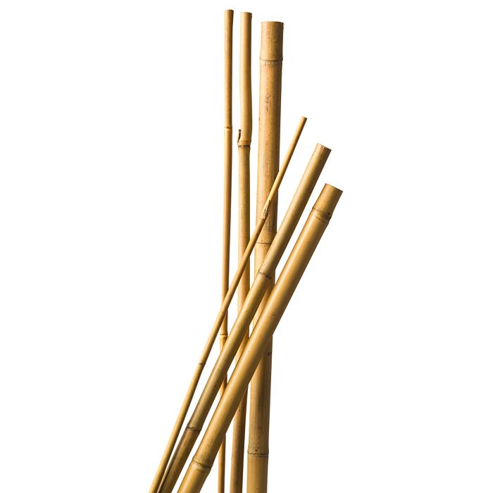 8711338402009_1.JPG
