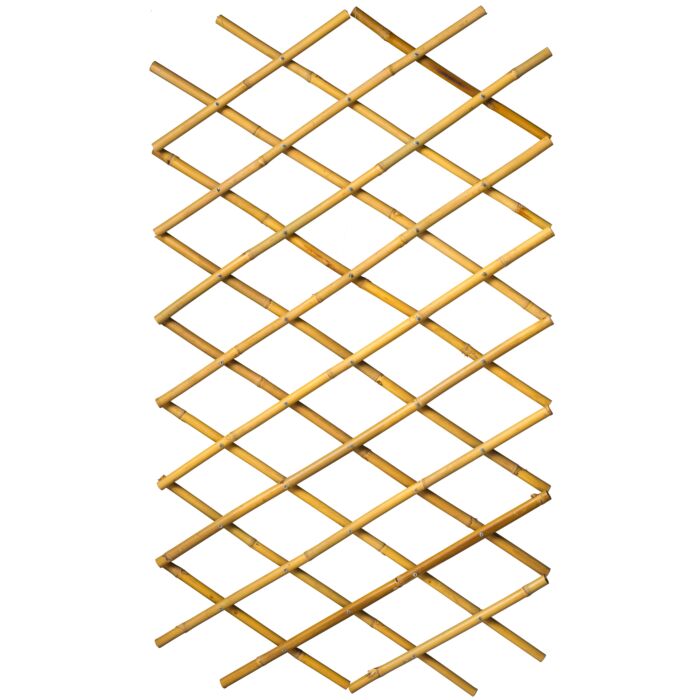 8711338407219.JPG