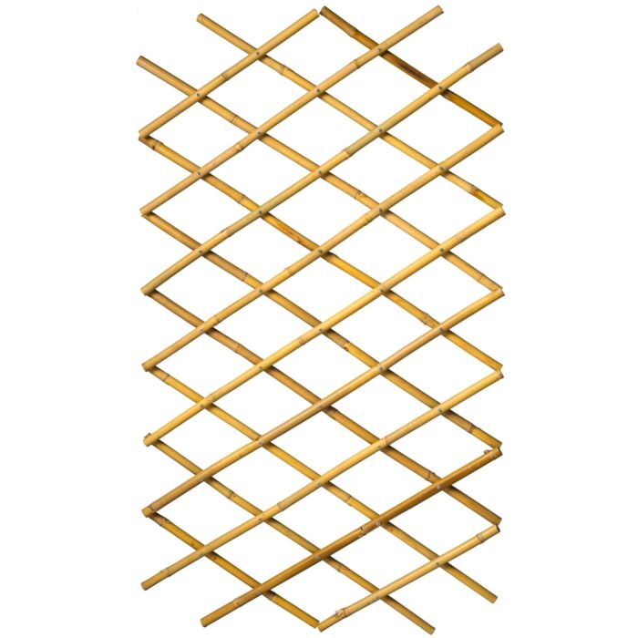 8711338407226.JPG