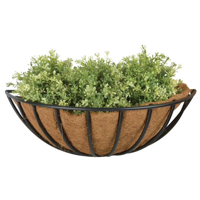 BPH78_01.png BPH78_01.png