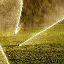 Rain Bird 8005 thumbnail