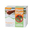 velda_algea.jpg thumbnail