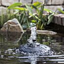 velda_drijvend_filter_met_fontein_25002.jpg thumbnail