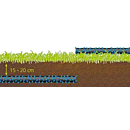 zweetslang-3.png thumbnail