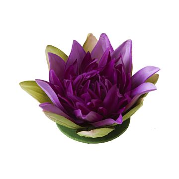 velda_drijvende_lotus_paars.jpg