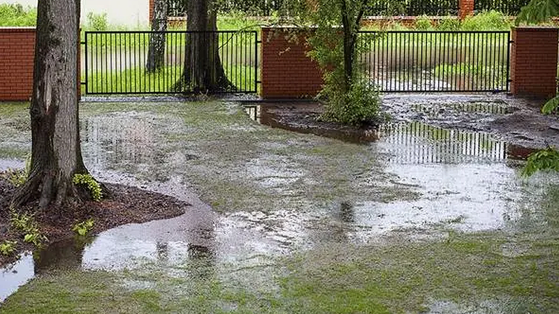 Drainage tuin