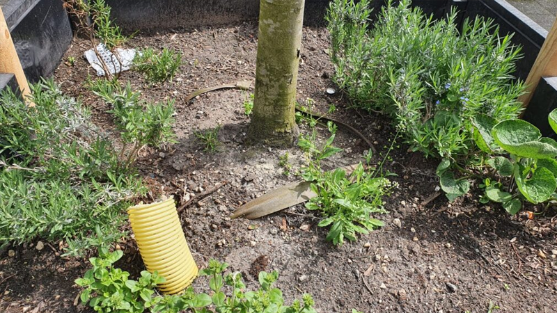 Drainage voor bomen