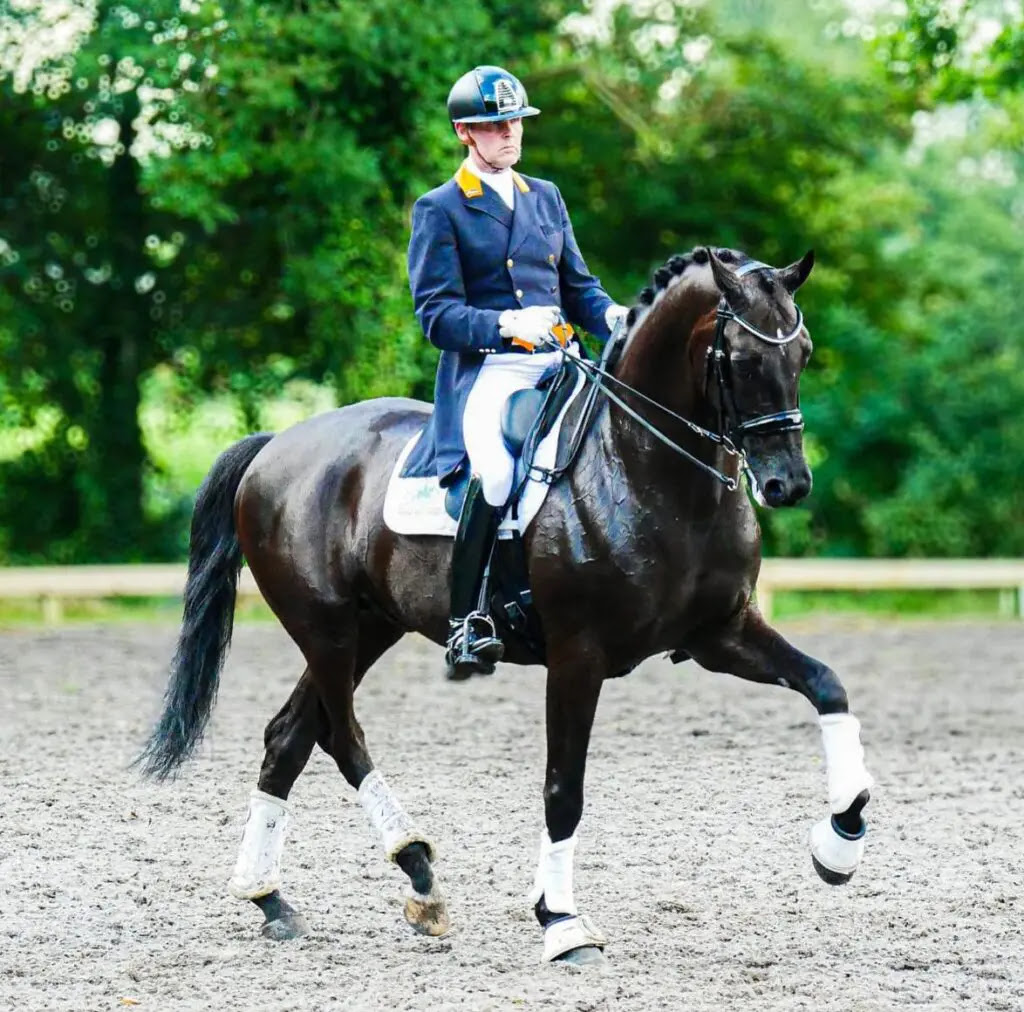 Drainage voor paardenbak